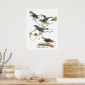 Audubon Indigo Bunting Print (Keuken)