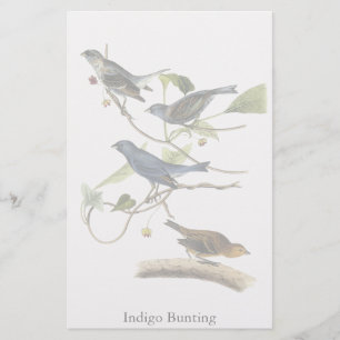 Audubon Indigo Bunting Print Briefpapier
