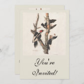 Audubon Ivory-Bled Woodpecker Kaart (Voorkant / Achterkant)