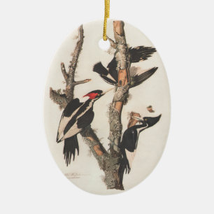 Audubon Ivory-Bled Woodpecker Keramisch Ornament