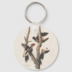 Audubon Ivory-Bled Woodpecker Sleutelhanger