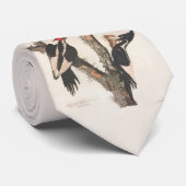 Audubon Ivory-Bled Woodpecker Stropdas (Opgerold)