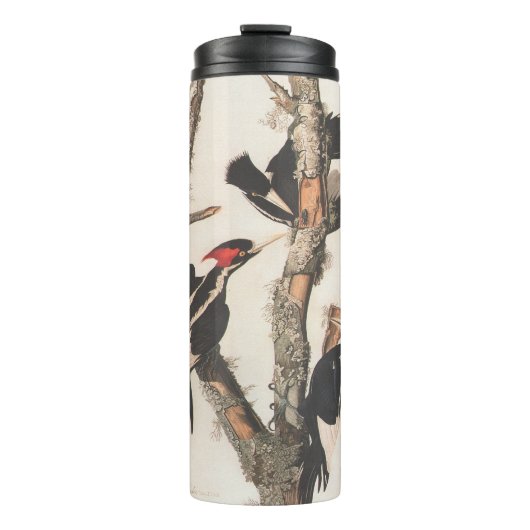 Audubon Ivory-Bled Woodpecker Thermosbeker (Voorkant)