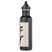 Audubon Ivory-Bled Woodpecker Waterfles (Rechts)