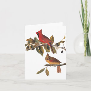Audubon Kardinaal Paar in Wilde Amandelboom Kaart
