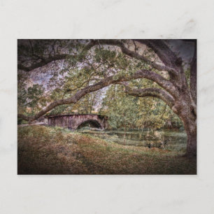 Audubon Lagoon Briefkaart