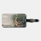 Audubon langsnavelige krulvogel bagagelabel (Achterkant horizontaal)