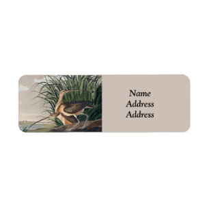 Audubon langsnavelige krulvogel etiket