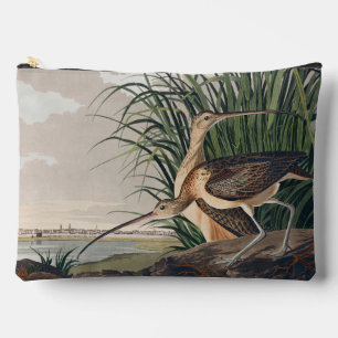 Audubon langsnavelige krulvogel etui