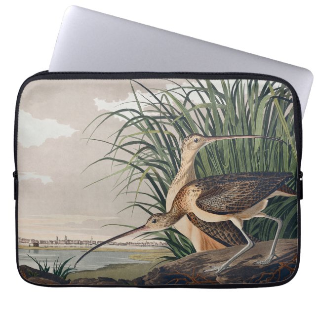 Audubon langsnavelige krulvogel laptop sleeve (Voorkant)