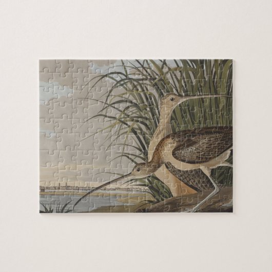 Audubon langsnavelige krulvogel legpuzzel (Horizontaal)