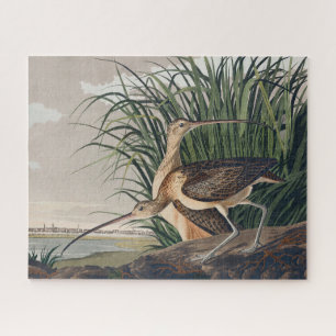 Audubon langsnavelige krulvogel legpuzzel