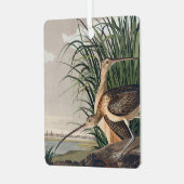 Audubon langsnavelige krulvogel metalen ornament (Voorkant links)