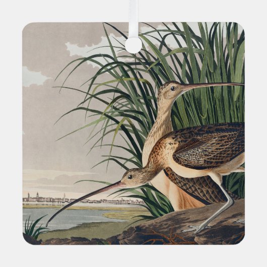 Audubon langsnavelige krulvogel metalen ornament (Voorkant)