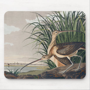 Audubon langsnavelige krulvogel muismat