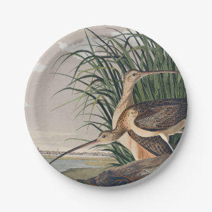 Audubon langsnavelige krulvogel papieren bordje