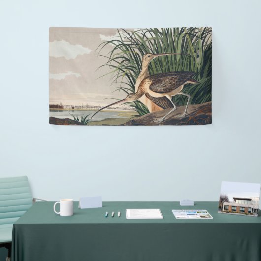Audubon langsnavelige krulvogel spandoek (Beurs)