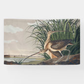 Audubon langsnavelige krulvogel spandoek (Horizontaal)