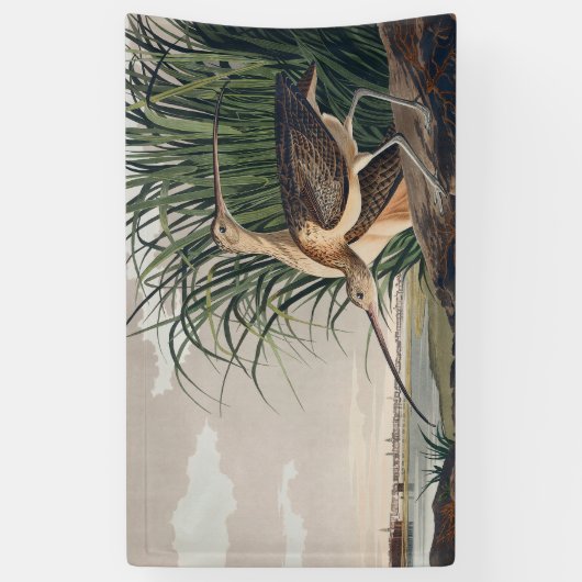 Audubon langsnavelige krulvogel spandoek (Verticaal)