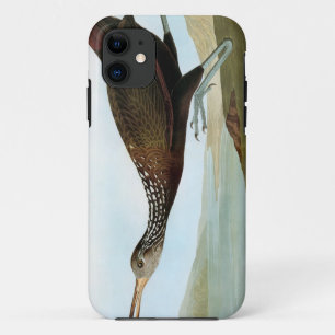 Audubon: Limpkin iPhone 11 Hoesje