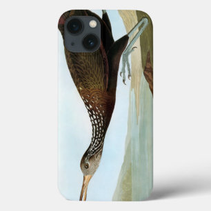 Audubon: Limpkin iPhone 13 Hoesje