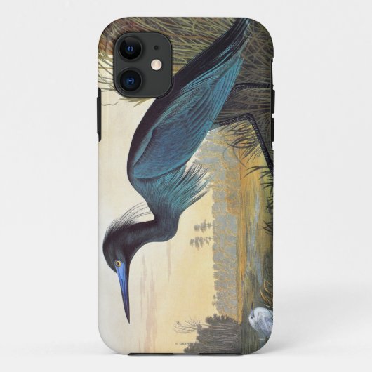 Audubon: Little Blue Heron Case-Mate iPhone Case (Achterkant)