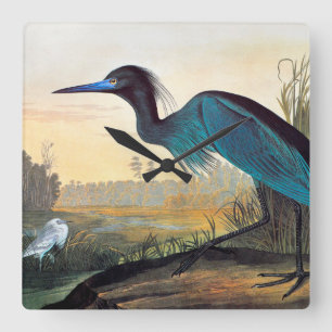 Audubon: Little Blue Heron Vierkante Klok
