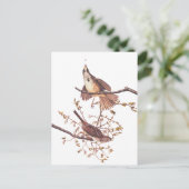 Audubon Long Sparrow Briefkaart (Staand voorkant)