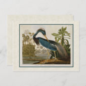 Audubon  Louisiana Blue Heron Briefkaart (Voorkant / Achterkant)