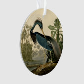 Audubon Louisiana Heron Birds America Art (devant)