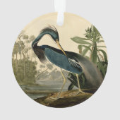 Audubon Louisiana Heron Birds America Art (dos)