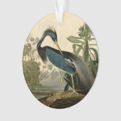Audubon Louisiana Heron Birds America Art (devant)