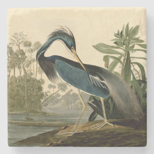 Audubon Louisiana Heron Birds America Art Stenen Onderzetter