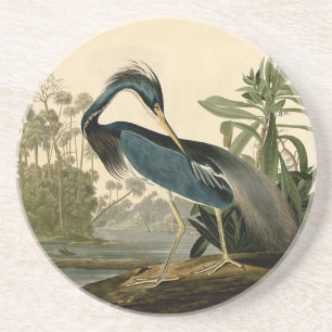 Audubon Louisiana Heron Zandsteen Onderzetter