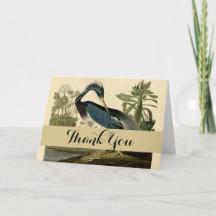 Audubon Louisiana Reiger Vogels Amerika Kunst Bedankkaart