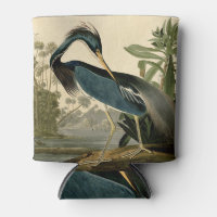 Audubon Louisiana Reiger Vogels Amerika Kunst