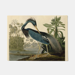 Audubon Louisiana Reiger Vogels Amerika Kunst Deurmat