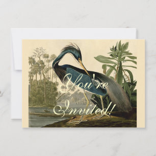 Audubon Louisiana Reiger Vogels Amerika Kunst Kaart