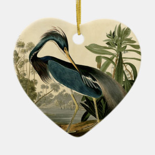 Audubon Louisiana Reiger Vogels Amerika Kunst Keramisch Ornament