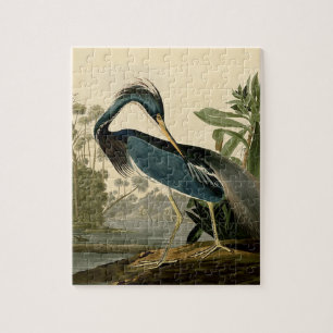 Audubon Louisiana Reiger Vogels Amerika Kunst Legpuzzel