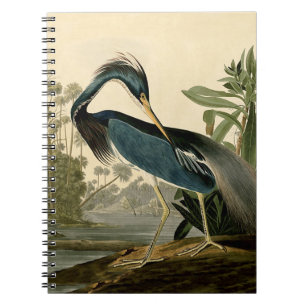 Audubon Louisiana Reiger Vogels Amerika Kunst Notitieboek