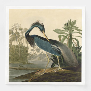 Audubon Louisiana Reiger Vogels Amerika Kunst Servet