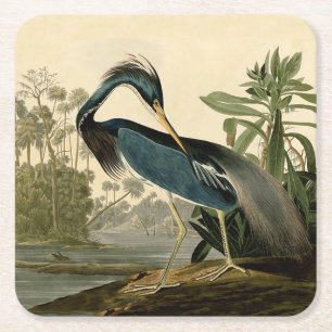 Audubon Louisiana Reiger Vogels Amerika Kunst Vierkante Kartonnen Onderzetter