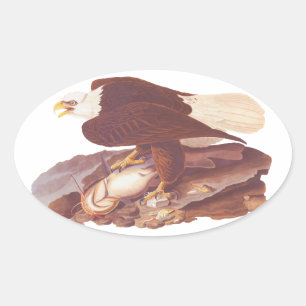 Audubon Majestic Kale Adelaar met Verse Vis Ovale Sticker
