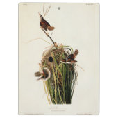Audubon Marsh Wren Vogelkunst Klembord (Achterkant)