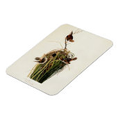 Audubon Marsh Wren Vogelkunst Magneet (Linkerzijde)