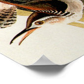 Audubon Marsh Wren Vogelkunst Poster (Hoek)