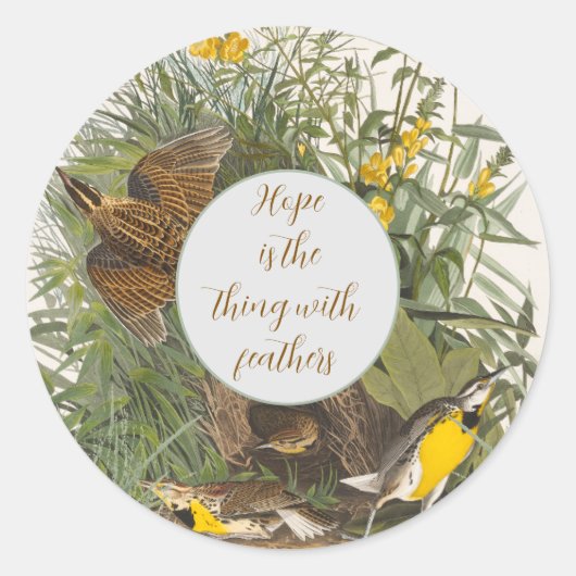 Audubon Meadowlark Botanische Print Ronde Sticker (Voorkant)