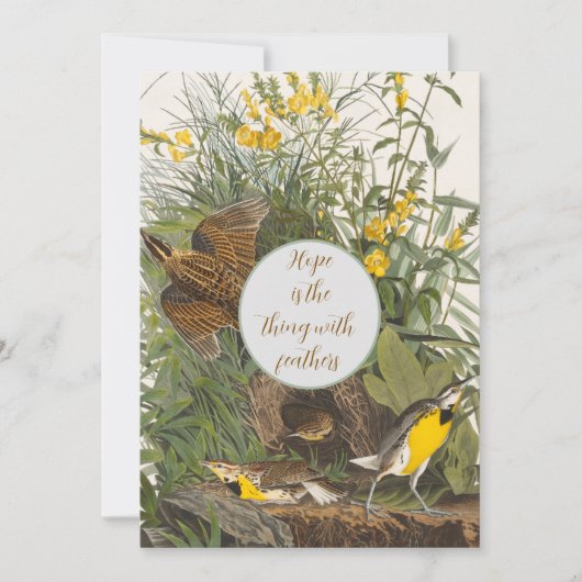 Audubon Meadowlark Print (Voorkant)