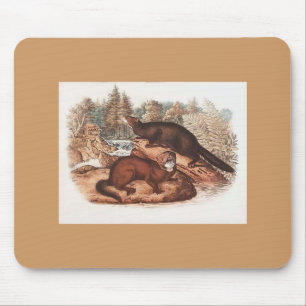 Audubon - Mink Muismat